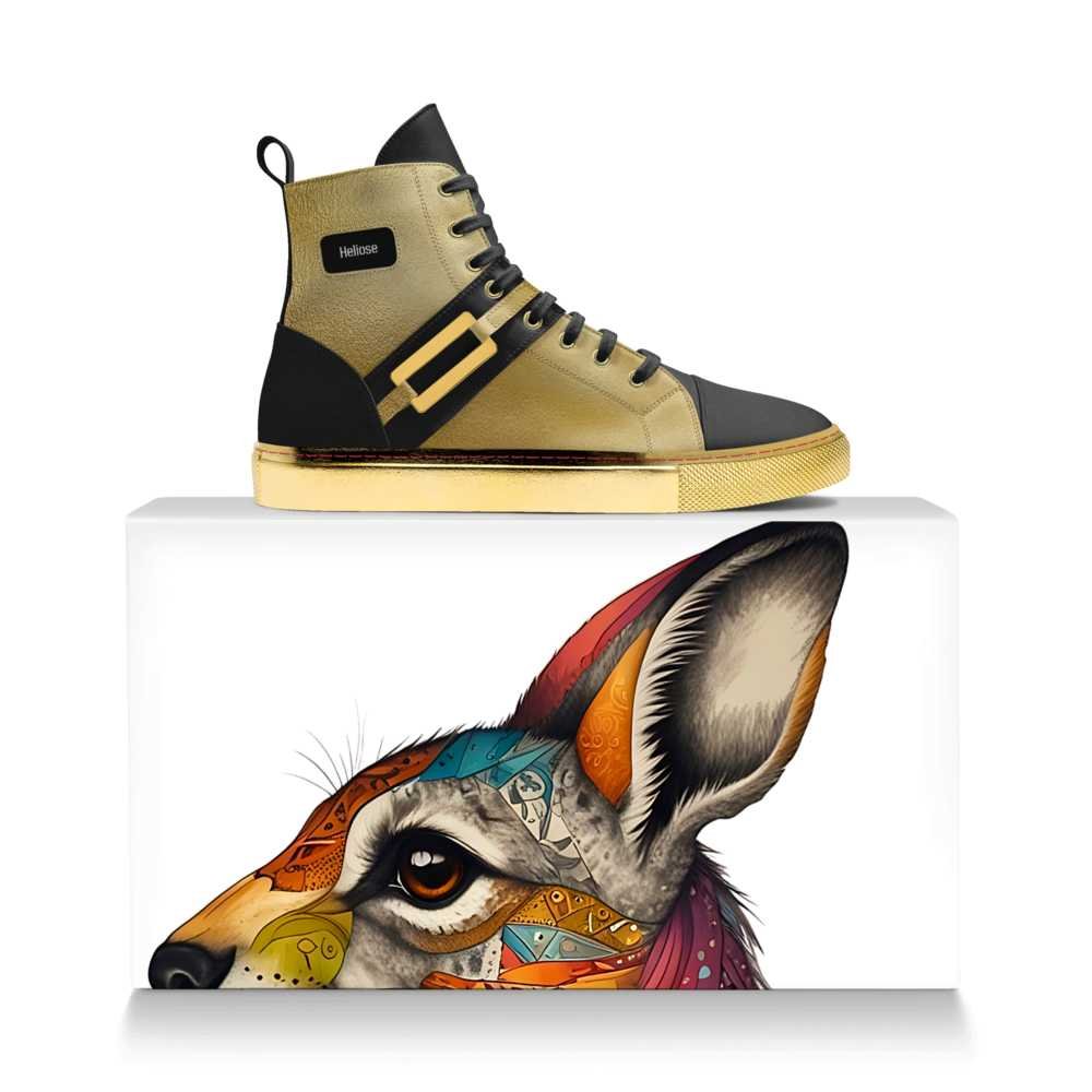 Heliose gold shoes displayed over luxury black box